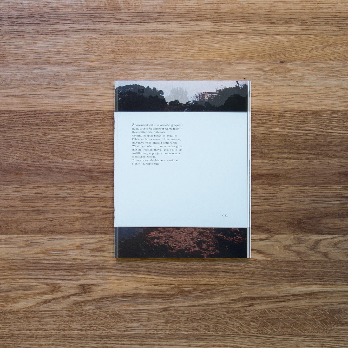 WP#22 | Slow Boat, Anniversary Print - White Press Verlag